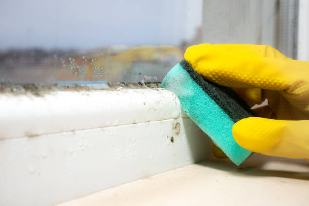 Water Damage Restoration in Edwards Af, CA